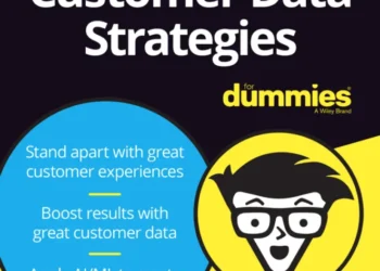 Customer Data Strategies for Dummies