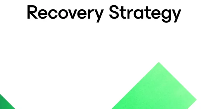 Building a Cyber-Resilient Data Recovery Strategy