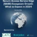 Secure Access Service Edge (SASE) Ecosystem Growth: What to Expect in 2024