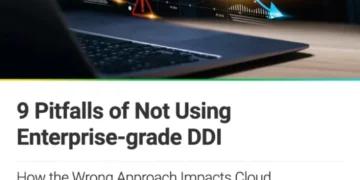 THE DOWNSIDE OF NOT USING ENTERPRISE-GRADE DDI