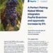 A Perfect Pairing: Naked Wines integrates PayPal Braintree and approvals increase by 5%
