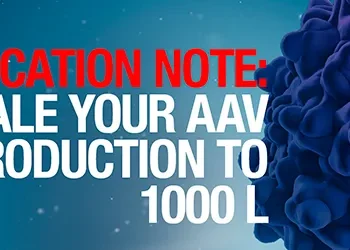 Production of AAV at the 1,000 L scale