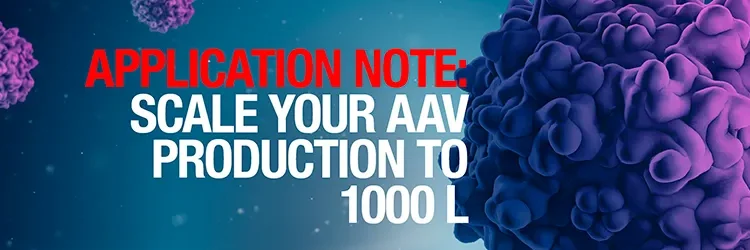Production of AAV at the 1,000 L scale