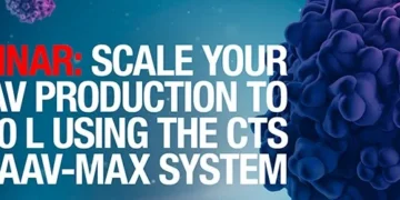 Scaling AAV production from 30mL to 1,000 L bioreactors for clinical applications