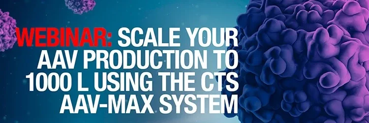 Scaling AAV production from 30mL to 1,000 L bioreactors for clinical applications
