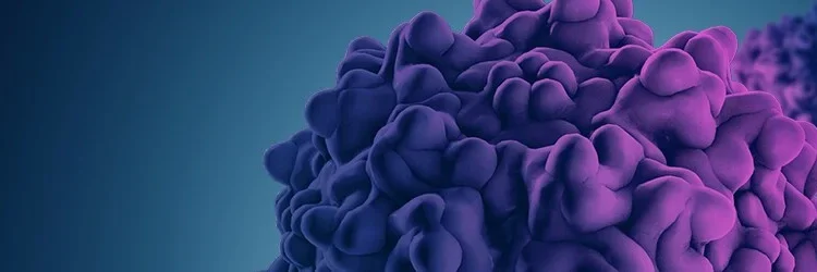 Production and purification of adeno-associated virus (AAV) at the 50 L scale