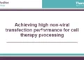 Achieving high non-viral transfection performance for cell therapy processing