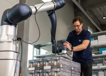 How to Succeed with Palletizing