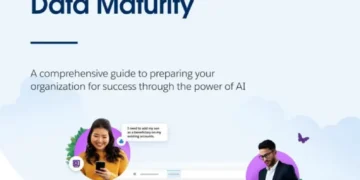 The Financial Services Playbook for Effective Data Maturity