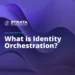 Everything you need to know about Identity Orchestration