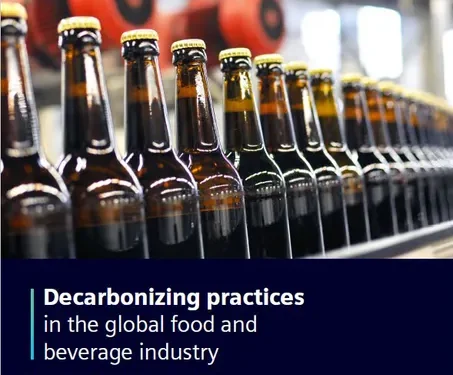 Decarbonizing practices in the global food and beverage industry