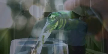 Supporting HEINEKEN’s net-zero ambition