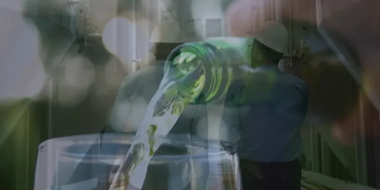 Supporting HEINEKEN’s net-zero ambition