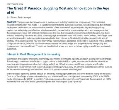 The Great IT Paradox: Juggling Cost and Innovation in the Age of AI