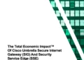 The Total Economic Impact™ Of Cisco Umbrella Secure Internet Gateway (SIG) And Security Service Edge (SSE)
