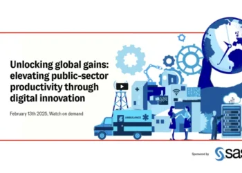 Unlocking global gains: elevating public-sector productivity through digital innovation